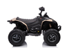 12V sous licence peut am renegade kids electric VTV