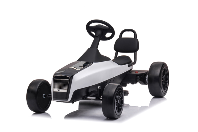24V dubbele motors kinders elektries go karts