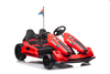 48V 2 Seaters Brushless Motor Kids Electric Drift Go Karts