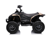 12V sous licence peut am renegade kids electric VTV