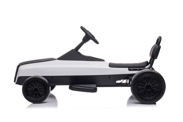 24V dubbele motors kinders elektries go karts