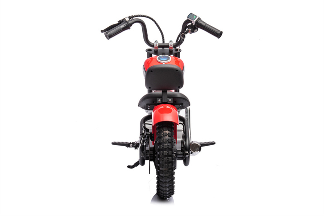 Boys 24 Volt Customized Kids Electric Ride On Motorcycle
