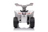 6V Beach Electric Mini Ride on ATV for Kids