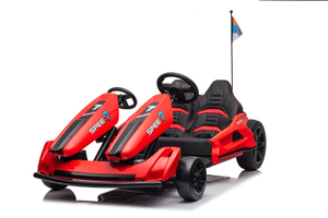 48V 2 Seaters Brushless Motor Kids Electric Drift Go Karts