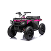 24V 200W Brushless Motor Kids ATV with Pneumatic Tires