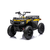 24V 200W Brushless Motor Kids ATV with Pneumatic Tires