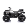 24V 200W Brushless Motor Kids ATV with Pneumatic Tires