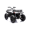 24V 200W Brushless Motor Kids ATV with Pneumatic Tires
