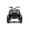24V 200W Brushless Motor Kids ATV with Pneumatic Tires
