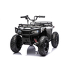24V 200W Brushless Motor Kids ATV with Pneumatic Tires